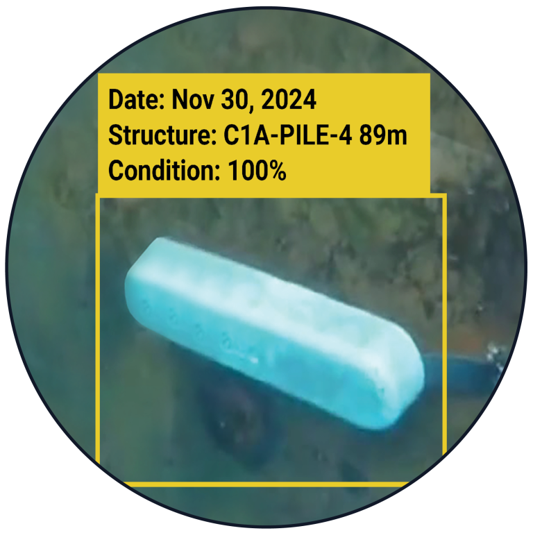 Inspection_Underwater_Anode_Circle - Numurus