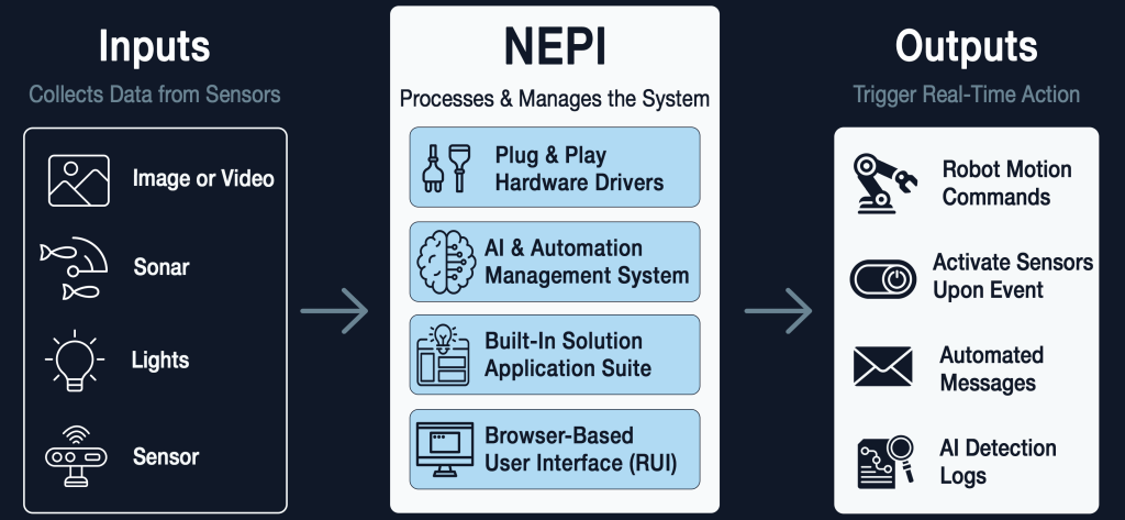 NEPI How It Works_Graphic_3250x1500 - Numurus