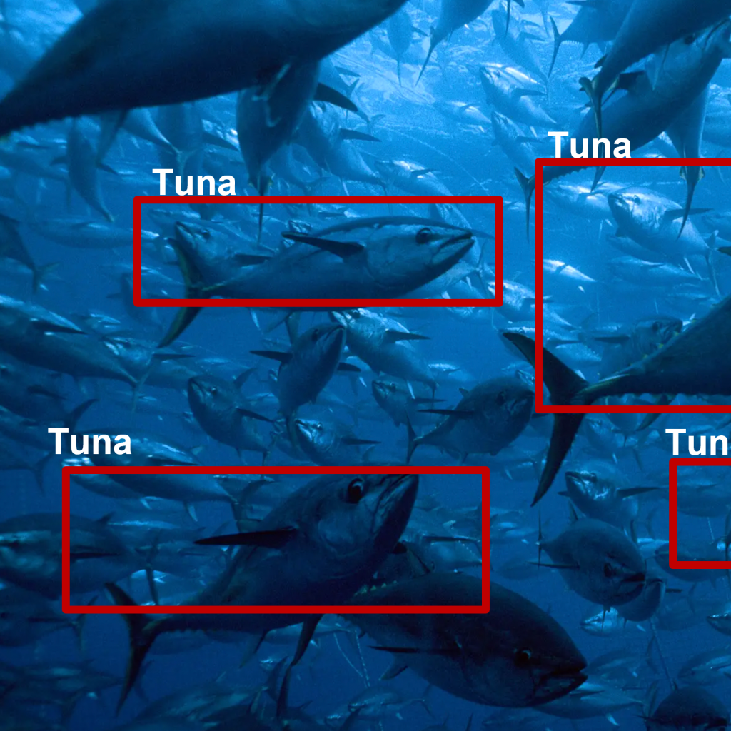 Tuna AI - Numurus